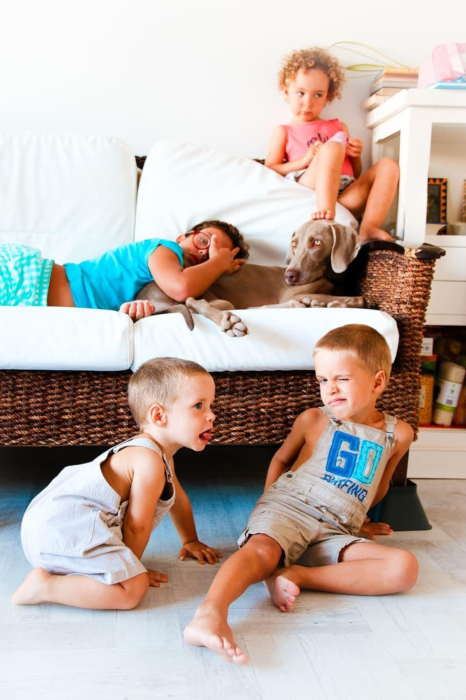 Pandemic and pandemonium in the house at Legacy Toys