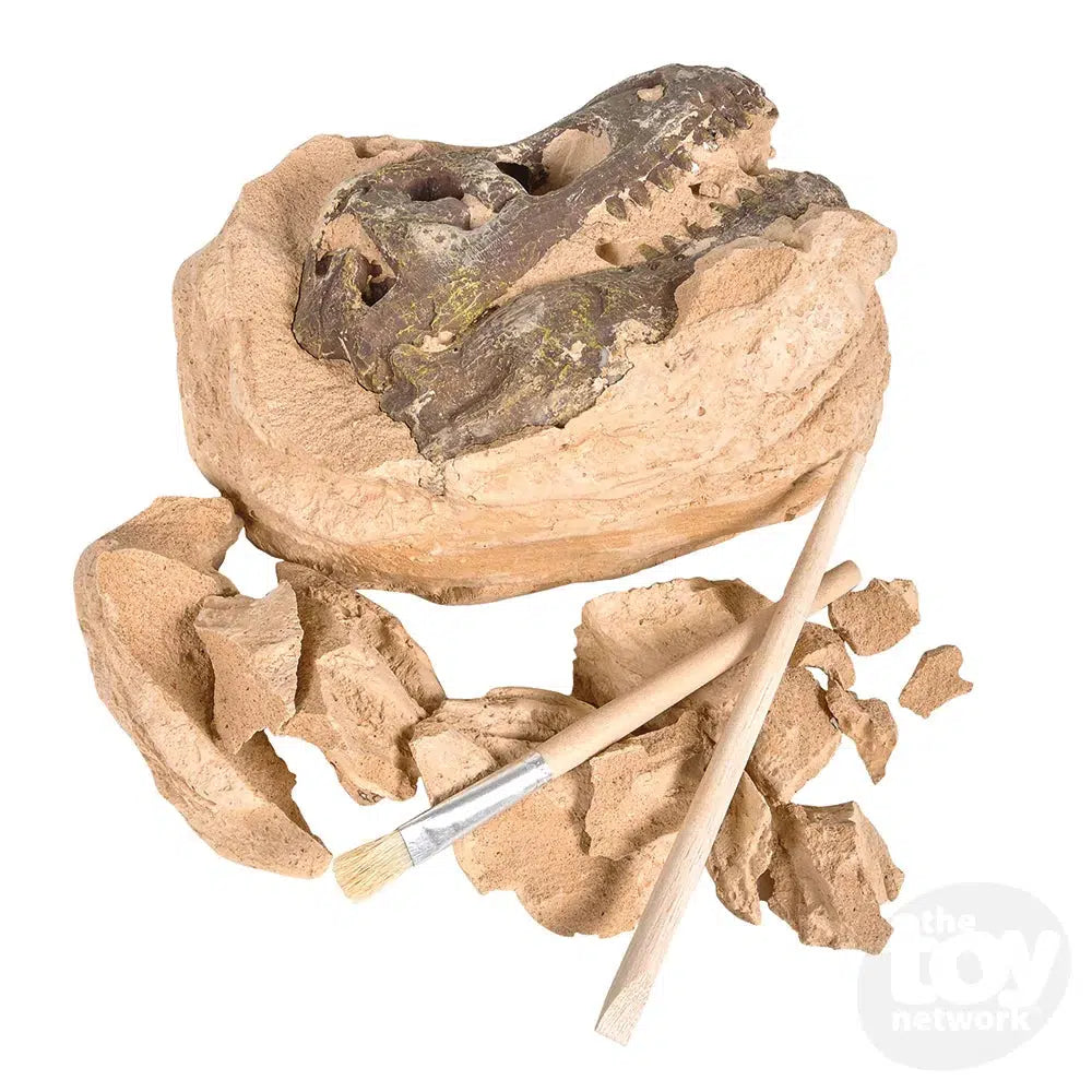 The Toy Network-6.5" Dinosaur Skull Excavation Dig Kit T-Rex-AM-EXDTX-Legacy Toys