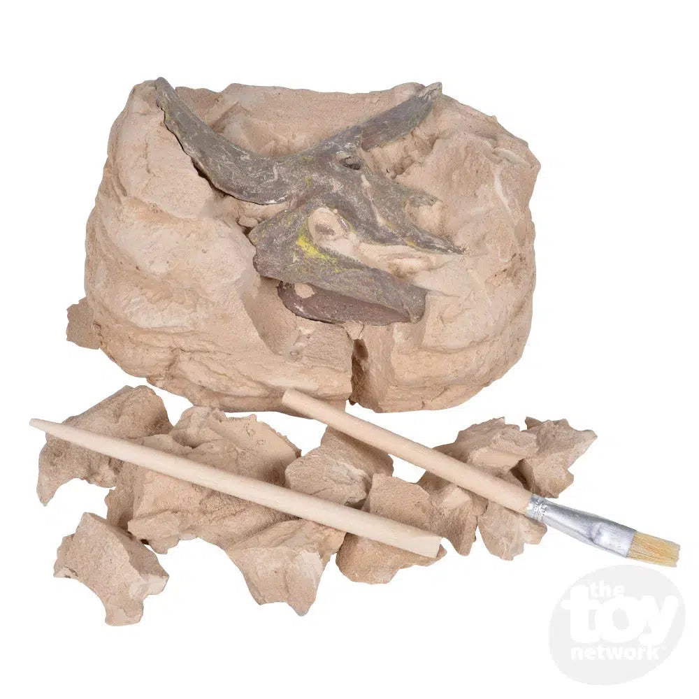 The Toy Network-6.5" Dinosaur Skull Excavation Dig Kit Triceratops-AM-EXDTR-Legacy Toys