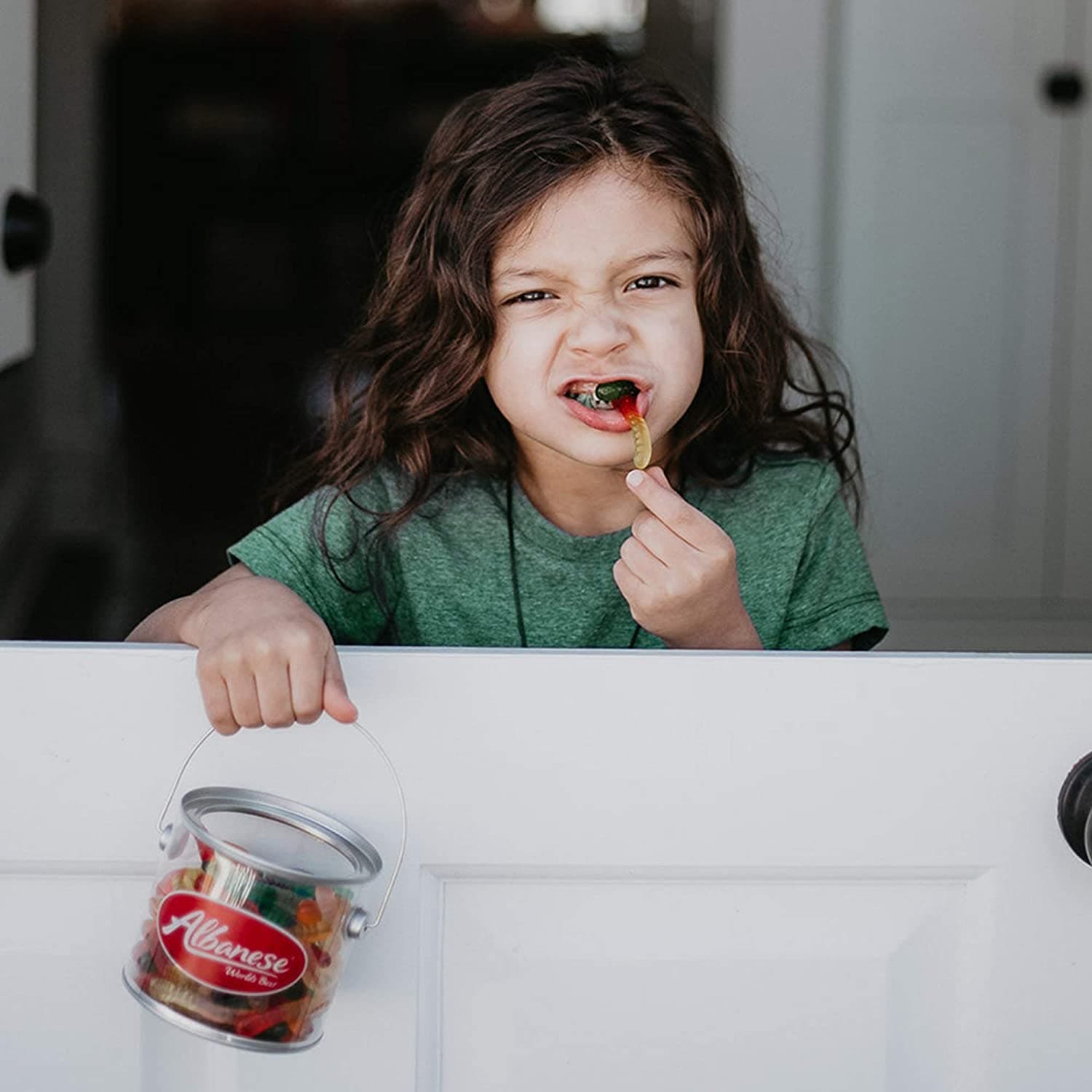 Albanese Confectionery-Mini Assorted Fruit Gummi Worms 5 lb. Bag-50137-Legacy Toys