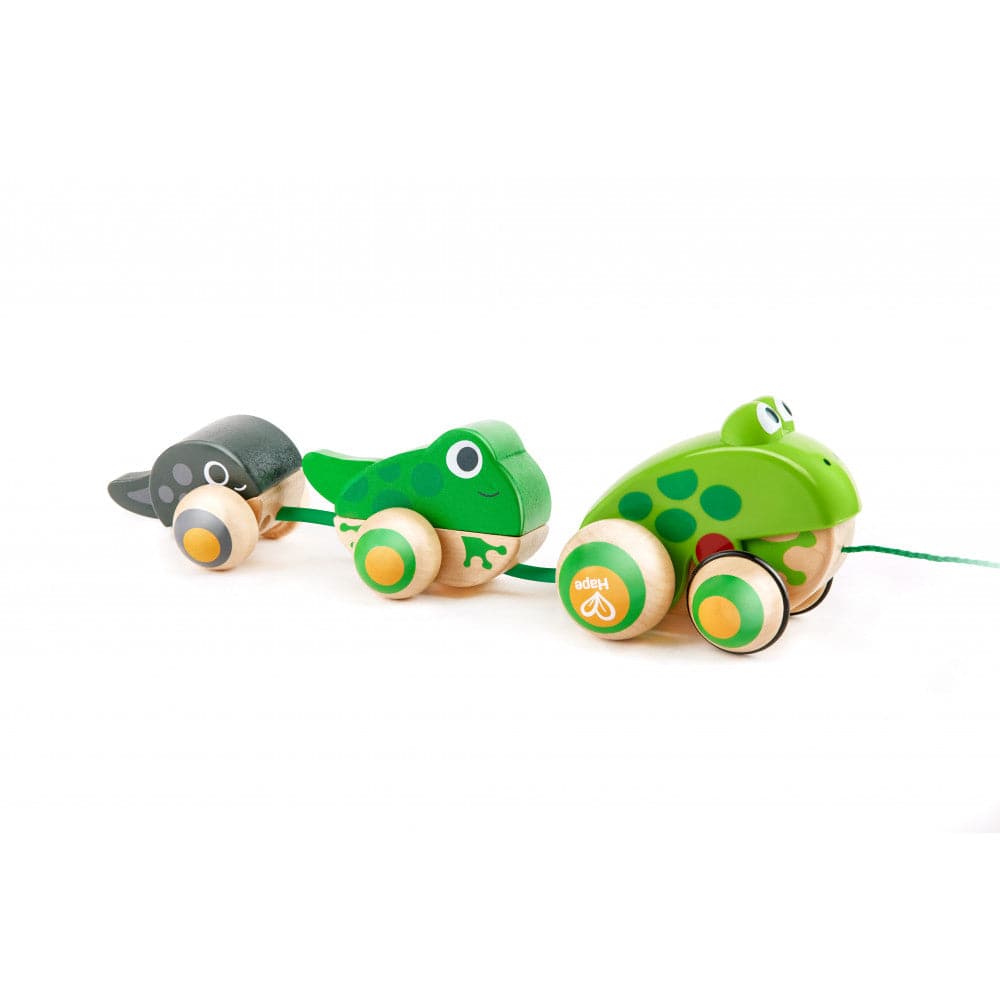 Hape-Pull-Along Frog Family-E0365-Legacy Toys
