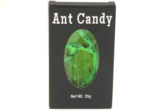 Hotlix-Ant Candy with Real Black Ants-125-23-1-Apple-Legacy Toys