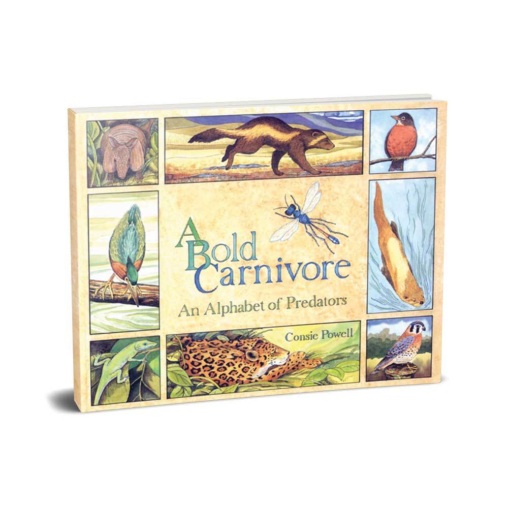 Legacy Bound-A Bold Carnivore-LBP2407-Hardcover-Legacy Toys