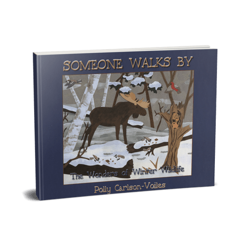 Legacy Bound-Someone Walks By-LBP2414-Hardcover-Legacy Toys