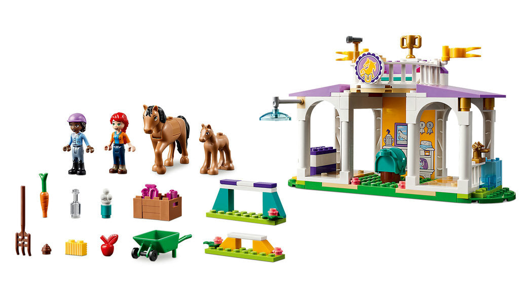 Lego-Horse Training-41746-Legacy Toys