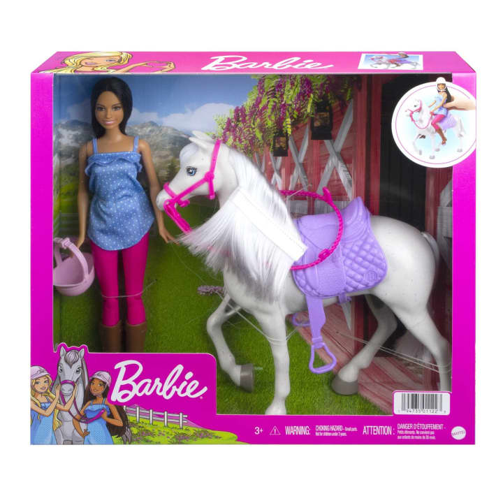 Mattel-Barbie Doll and Horse - Brunette-HCJ53-Legacy Toys