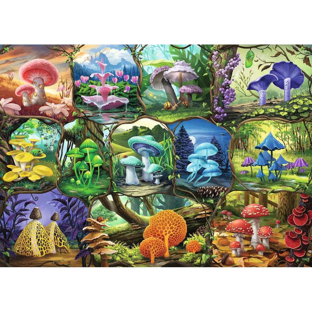 Ravensburger-Beautiful Mushrooms 1000 Piece Puzzle-17312-Legacy Toys