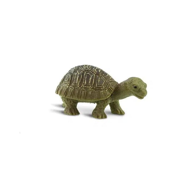 Safari Ltd-Good Luck Minis Tortoises-100173-Legacy Toys
