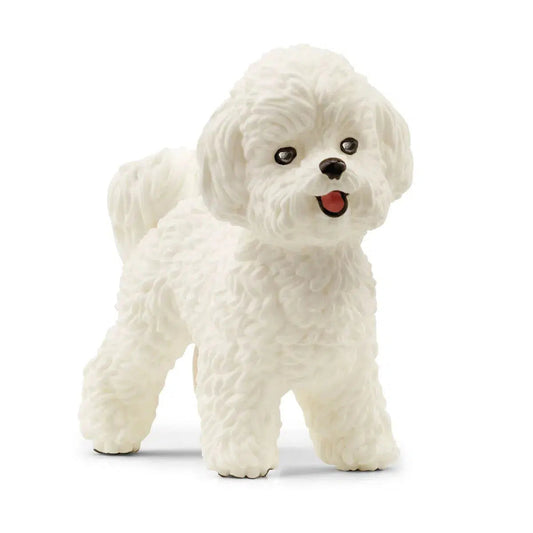 Schleich-Bichon Frise-13963-Legacy Toys