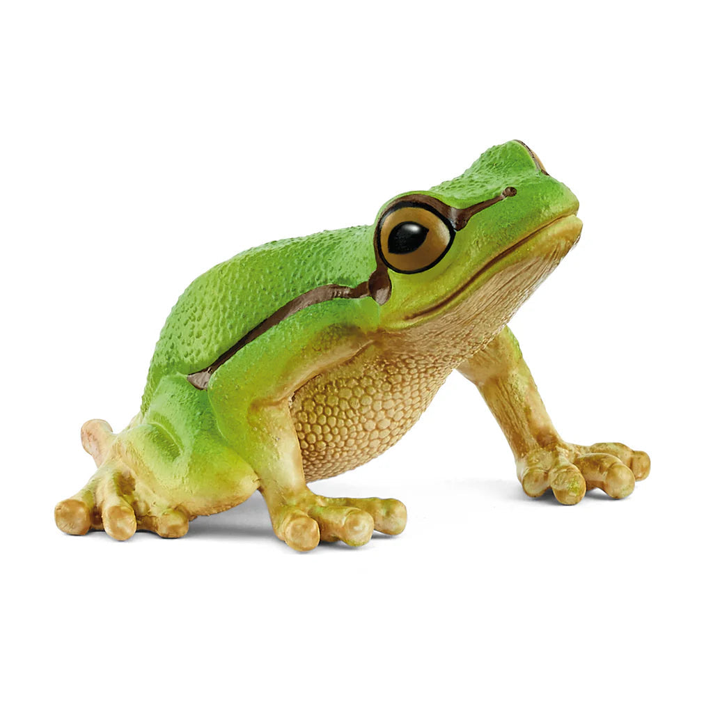 Schleich-European Tree Frog-14882-Legacy Toys