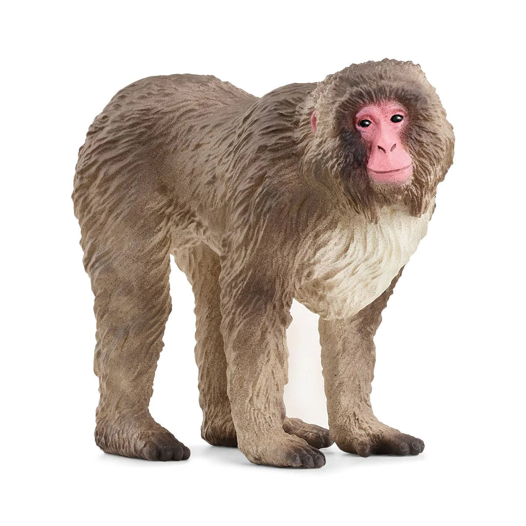 Schleich-Japanese Macaque-14871-Legacy Toys
