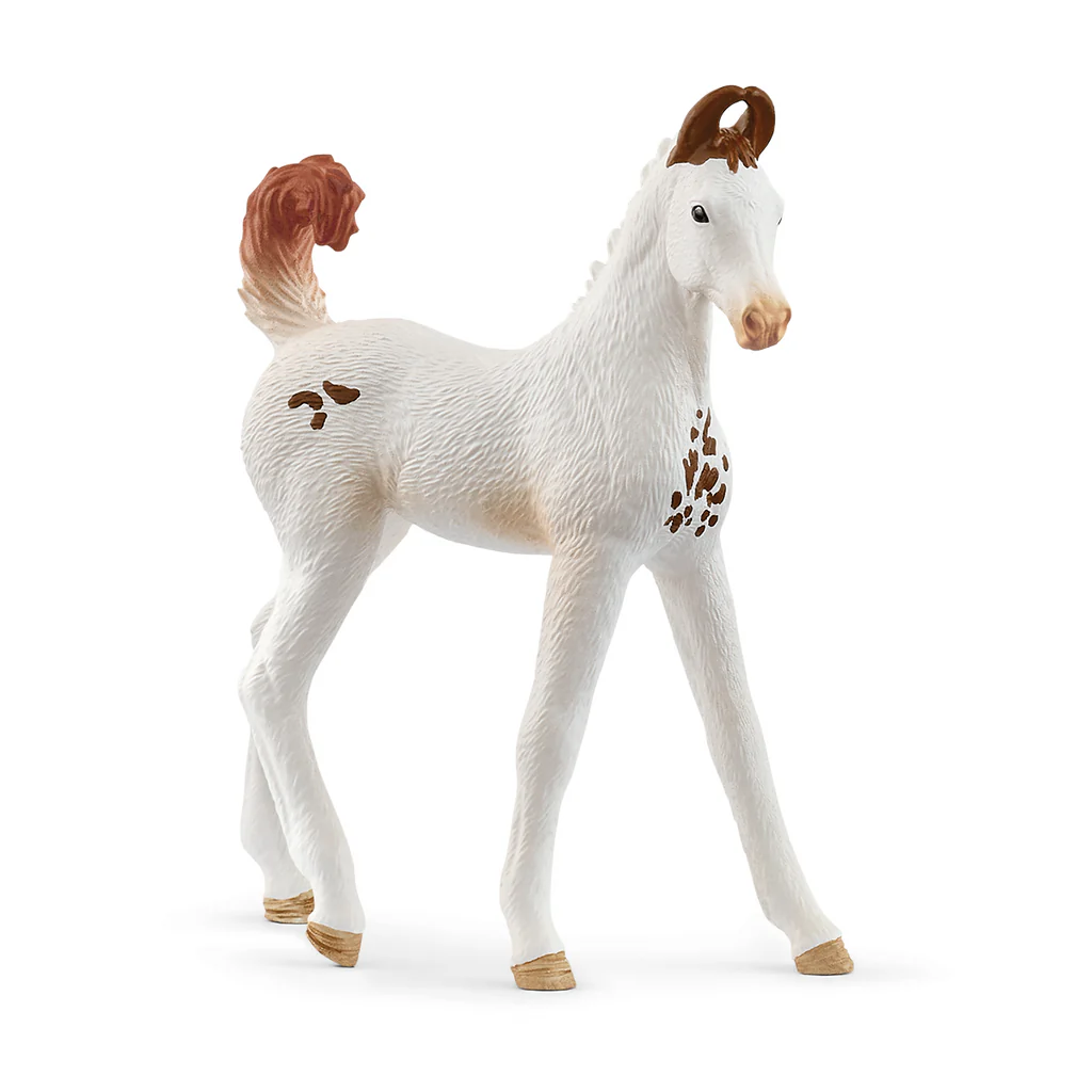 Schleich-Marwari Foal-14896-Legacy Toys