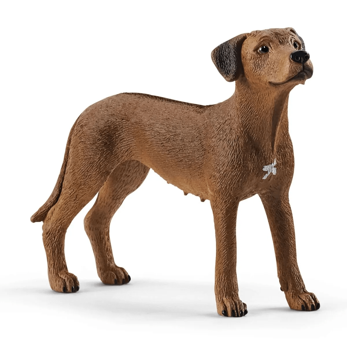 Schleich-Rhodesian Ridgeback-13895-Legacy Toys