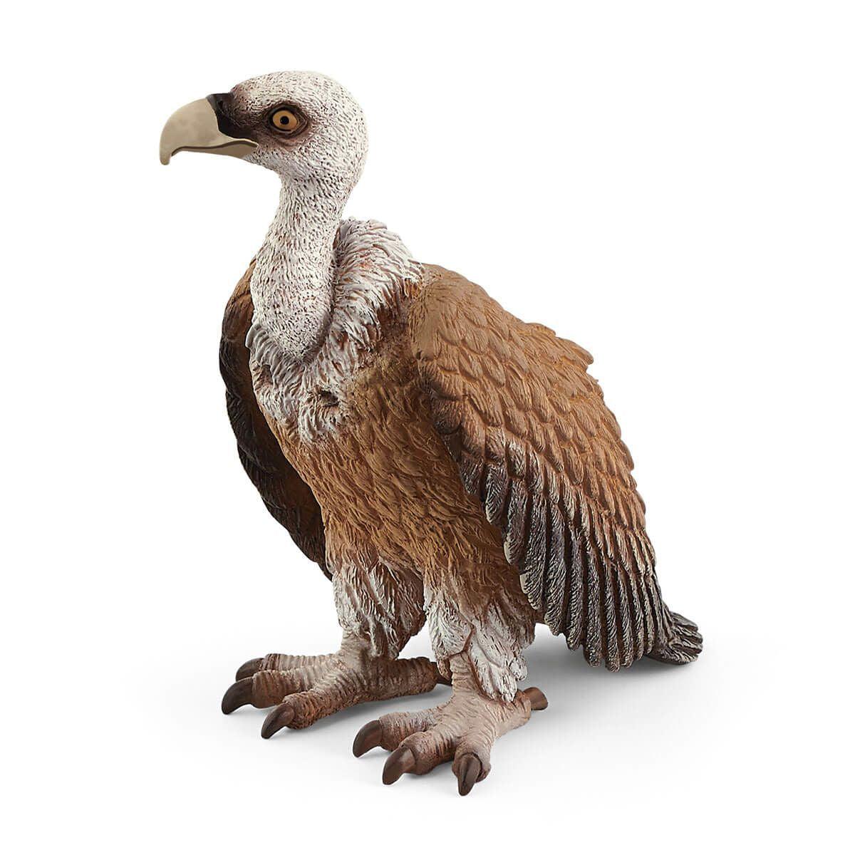 Schleich-schleich WILD LIFE Vulture-14847-Legacy Toys
