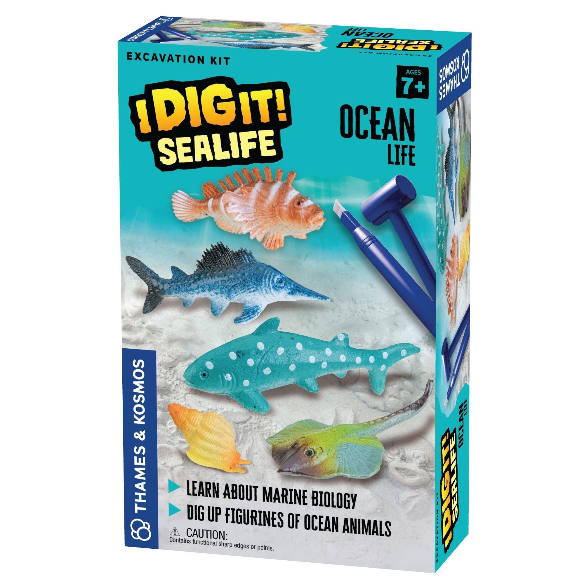 Thames & Kosmos-Thames & Kosmos I Dig It! Sealife - Ocean Life-657537-Legacy Toys