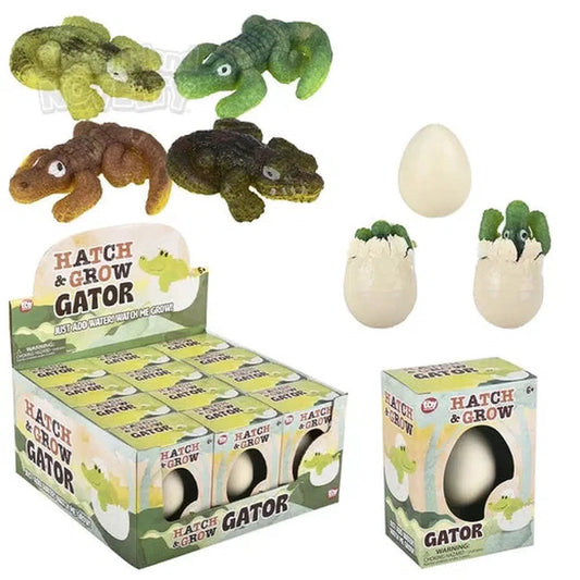 The Toy Network-Small Hatch And Grow Gator Egg-PA-GRSGA-Box of 12-Legacy Toys