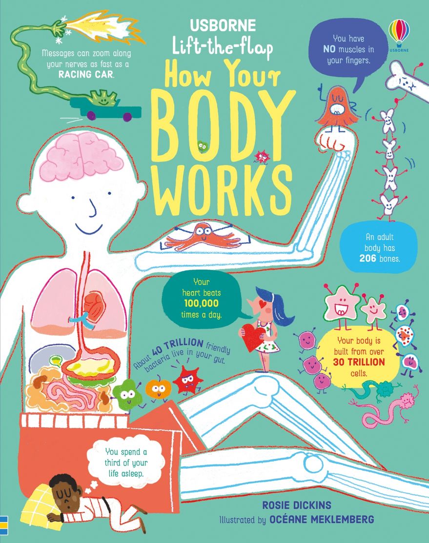 Usborne Books-Lift the Flap How Your Body Works-546847-Legacy Toys