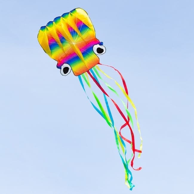 XYZ Toys-Rainbow Octopus Kite Large-106901-Legacy Toys